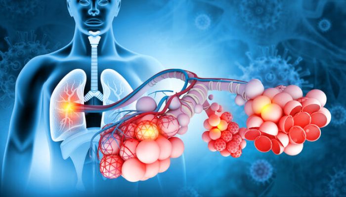 فارما  - طب البترجي M3  - Respiration & Circulation III Cover