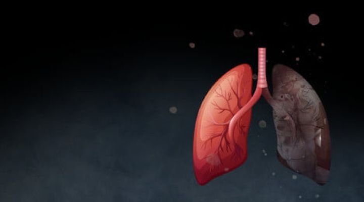 ميكرو - طب البترجي M3 - Respiration & Circulation III Cover