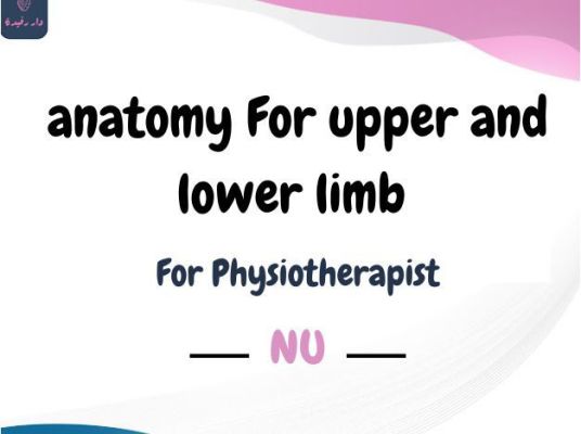 Anatomy upper and lower limbs - PT Cover