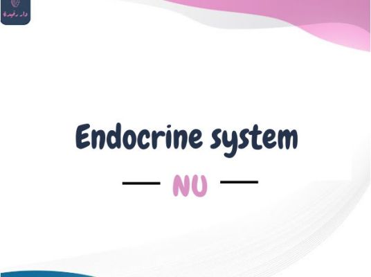 Endocrine system Cover