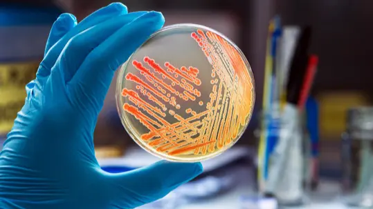 Microbiology - كليات البترجي Cover