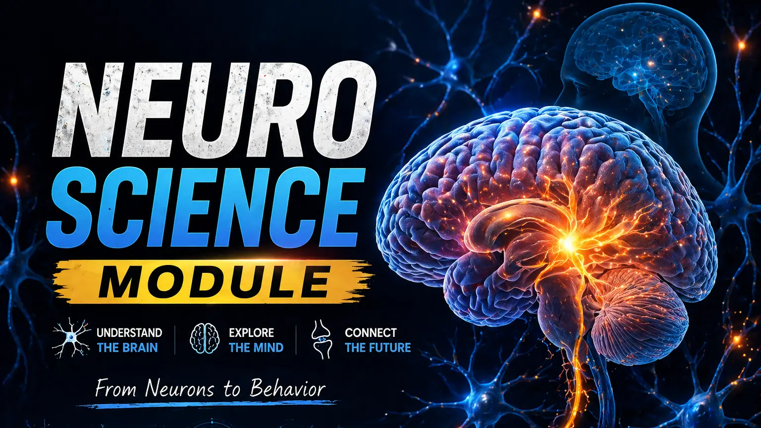 Neuroscience I Module  I  Fayoum University 2026 Cover