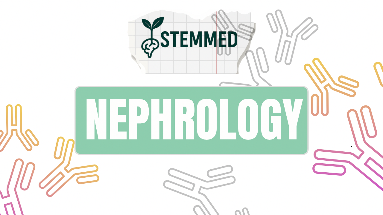 Nephrology - Internal Medicine Cover