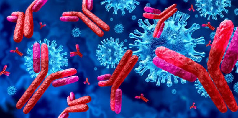 Immunology & GIT - جامعة سليمان الراجحي Cover