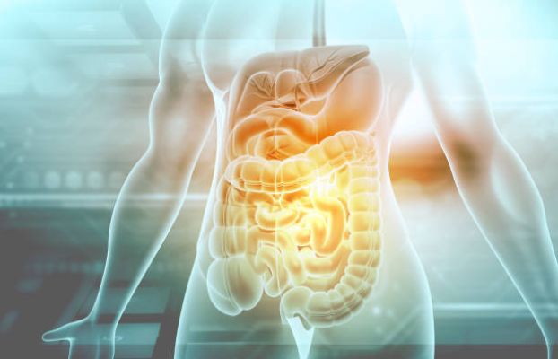 طب البترجي -   Physiology  ( Digestion & Defense ) Cover