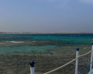 محمد طاهر
