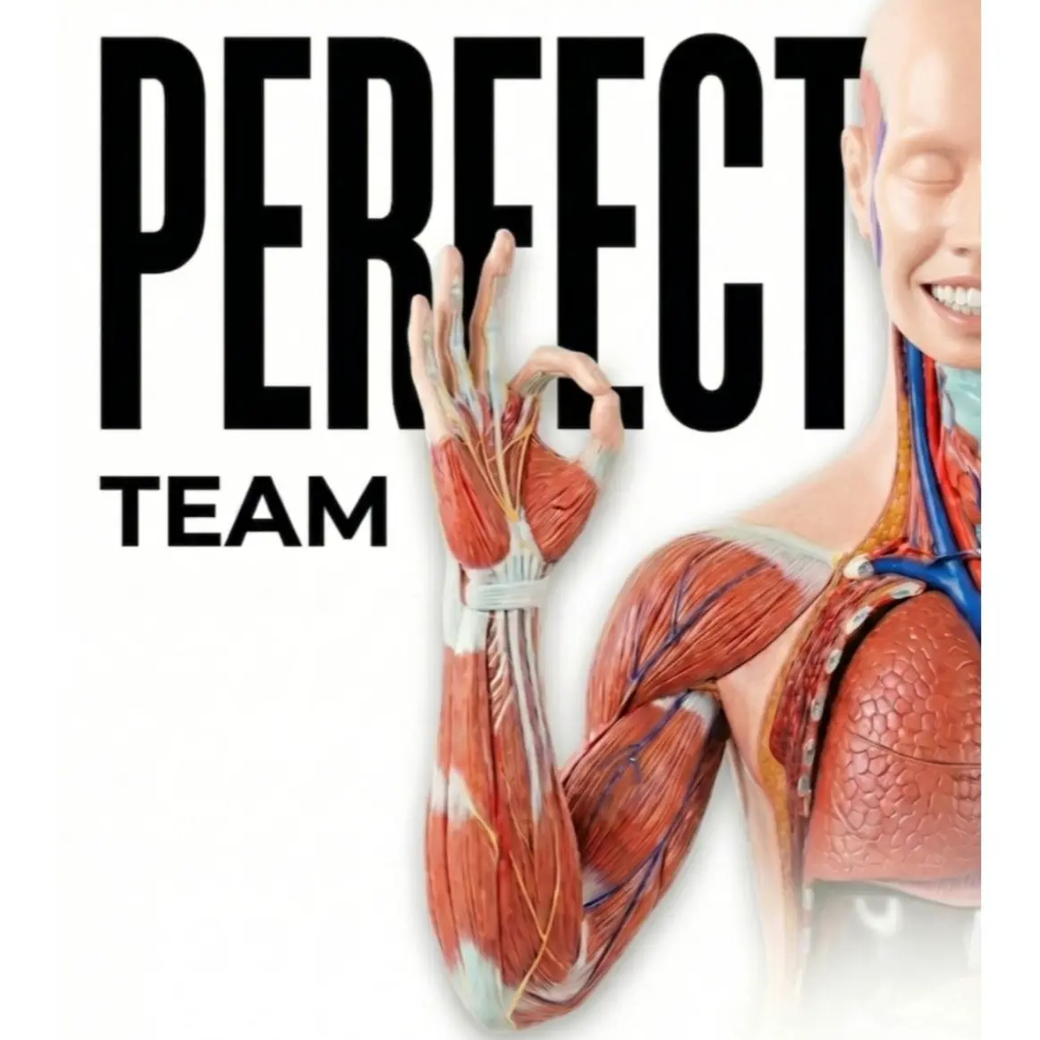 PERFECT TEAM